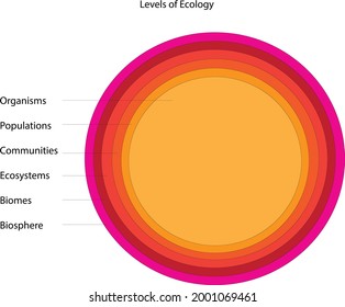 A diagram of levels of ecology with six main levels. organisms, populations, communities, eco systems, biomes, biosphere