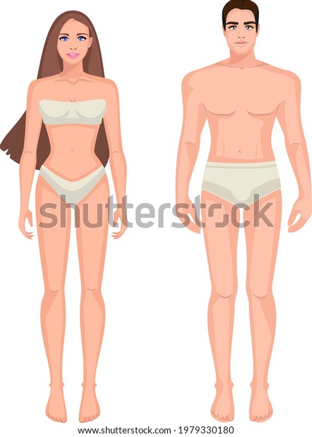 Diagram Male Female Body Front View Stock Vector Royalty Free 1979330180 Shutterstock