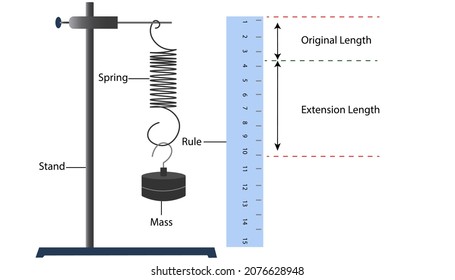 spiral spring experiment viva questions