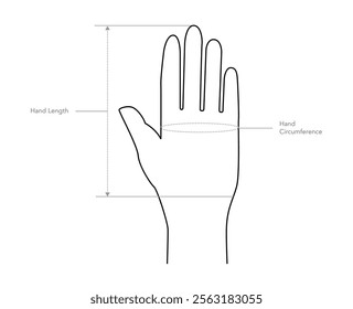 Diagram of measuring hands for Gloves, mittens, mitts Fashion accessory clothing technical illustration. Vector for Men, women, unisex flat template CAD cartoon style isolated on white background