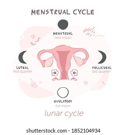 Diagram of the menstrual cycle by moon phases. Lunar cycles for women's health. Symbol of the uterus with flowers isolated on a white background in boho style. Vector illustration
