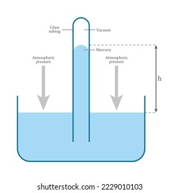 Diagram of mercury barometer. Torricellian barometer. The glass tube in simple barometer. Scientific vector illustration isolated on white background.