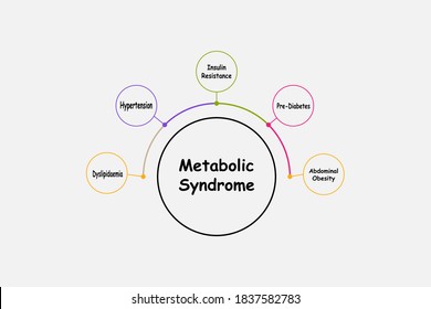 Diagram Metabolic Syndrome Keywords Eps 10 Stock Vector (Royalty Free ...