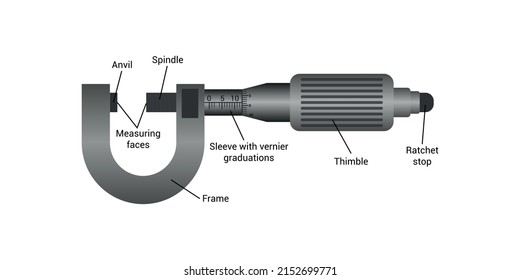 diagram of a micrometer screw gauge. Vector illustration isolated on white background