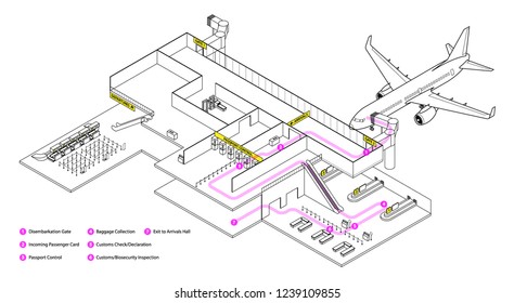 Diagram of navigating an airport. Generic steps to disembarking an international flight arrival.
