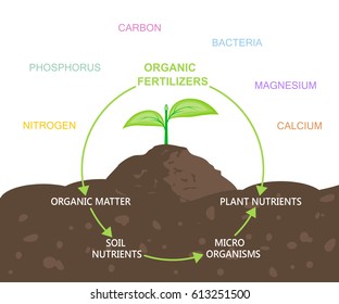 Diagram of nutrients in organic fertilizers. Plant and soil. Vector illustration flat design