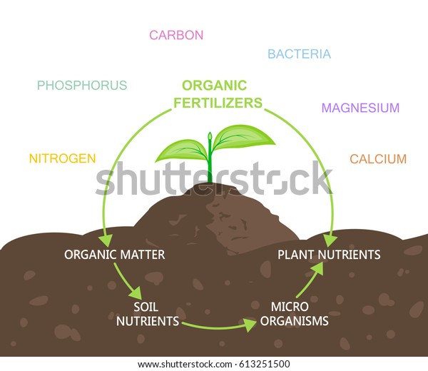 图中的营养物质在有机肥料 植物和土壤 矢量插图平面设计库存矢量图 免版税 图中的营养物质在有机肥料 植物和土壤 矢量插图平面设计库存矢量图 免版税
