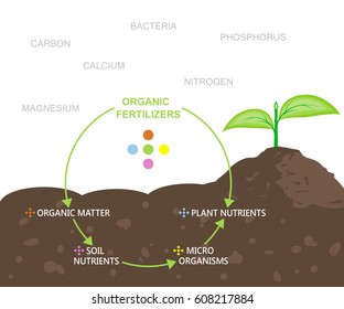 Diagram of nutrients in organic fertilizers. Vector illustration flat design