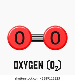 Diagram of an Oxygen Molecule