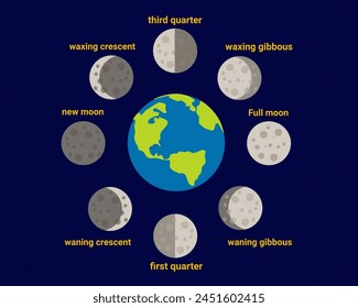 Diagrama de las fases de las posiciones lunares de la Ilustración vectorial lunar