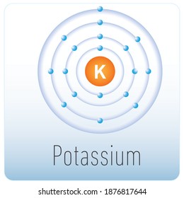 Diagram Of An Potassium Atom. Periodic Table Element. 