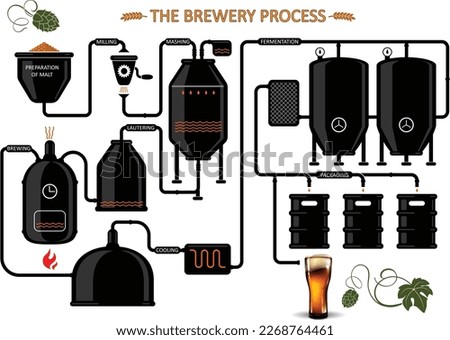 Diagram of  the process of brewing beer. Detailed illustration