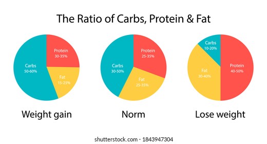 The diagram ratio of carbs, fats and protein for weight gain and lose weight. Diet plan icon. Vector