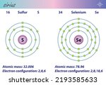 Diagram representation of the element sulfur and selenium illustration