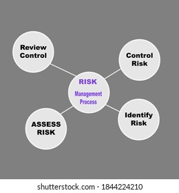 Diagram of Risk - Management Process with keywords. EPS 10 - isolated on gray background