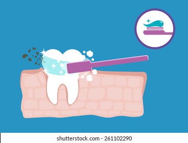 Diagram of a Root Tooth Anatomy with dirt or decay being Brushed Away by a Bubbling Toothpaste and Flouride Gel. Editable EPS10 vector illustration and large jpg. 