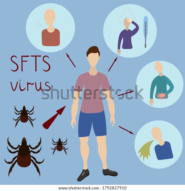 Sftsウイルス感染とその症状の図 危険な虫ダニにかまれる ベクターイラスト 青の背景 血小板減少症による重症熱を引き起こす疾患 のベクター画像素材 ロイヤリティフリー