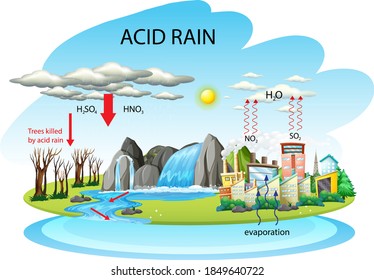 Diagram showing acid rain pathway on white background illustration