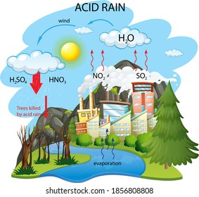 Diagram Showing Acid Rain Pathway On Stock Vector (Royalty Free ...