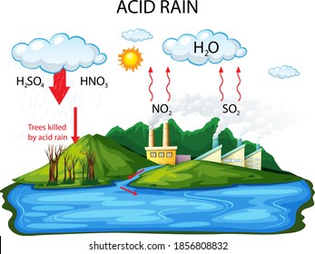 Diagram showing acid rain pathway on white background illustration