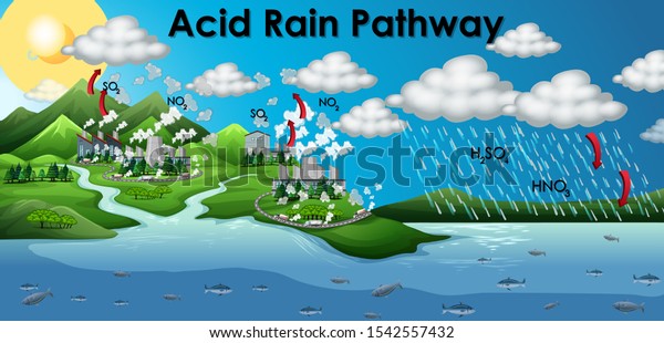 Diagram showing
acid rain pathway
illustration