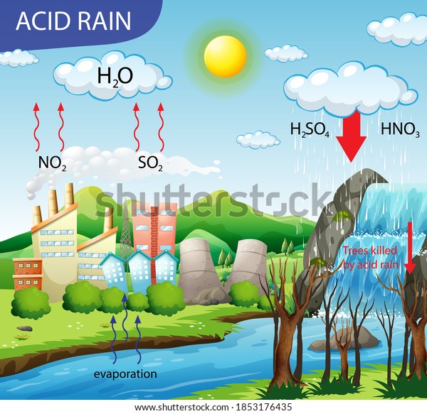 Diagram Showing Acid Rain Pathway Illustration Stock Vector (Royalty ...