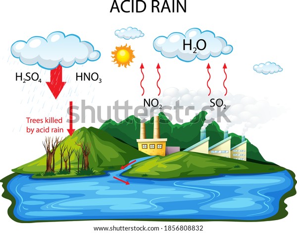 Diagram showing acid rain pathway on white\
background\
illustration