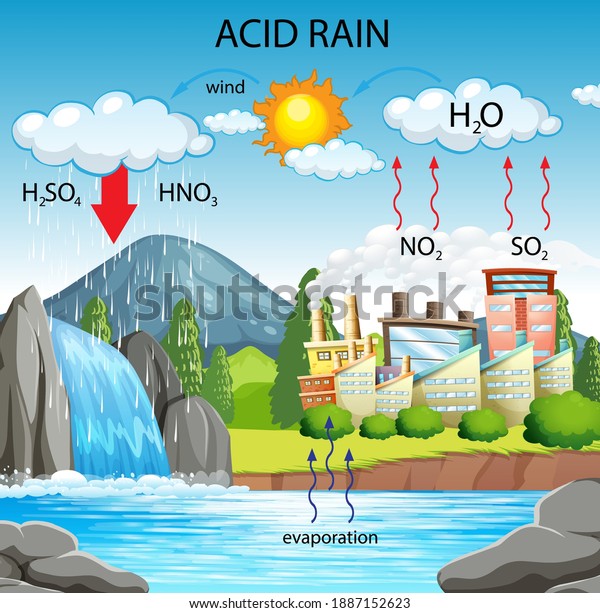Diagram showing\
acid rain pathway\
illustration