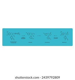 Diagram showing biochemical conversion of lignans to Enterolactone and Enterodiol - skeletal formula scientific illustration. Chemical biotransformation.