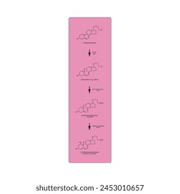 Diagrama que muestra la biosíntesis de la forma activa de la vitamina D - Calcitriol - a través de los riñones y el hígado - estructura molecular esquemática ilustración química.