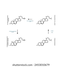 Diagrama que muestra la biosíntesis de la forma activa de la vitamina D - Calcitriol - a través de los riñones y el hígado - estructura molecular esquemática ilustración química.