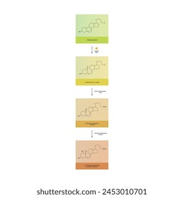 Diagram showing biosynthesis of active form of vitamin D - Calcitriol - via the kidneys and the liver - schematic molecular strcuture chemical illustration.