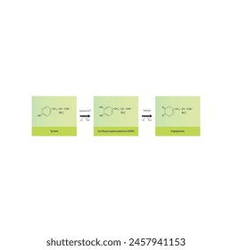 Diagram showing biosynthesis of Dopaquinone from Tyrosine via Tyrosinase - schematic molecular strcuture chemical illustration.