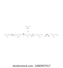 Diagramm, das die Biosynthese von Melatonin aus Tryptophan über enzymatische Reaktionen zeigt - schematische chemische Darstellung der molekularen Struktur.