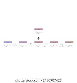 Diagramm, das die Biosynthese von Melatonin aus Tryptophan über enzymatische Reaktionen zeigt - schematische chemische Darstellung der molekularen Struktur.