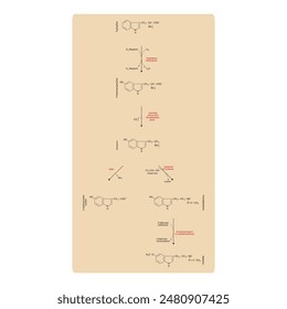 Diagramm, das die Biosynthese von Melatonin aus Tryptophan über enzymatische Reaktionen zeigt - schematische chemische Darstellung der molekularen Struktur.