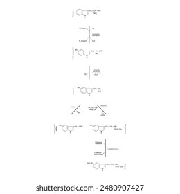 Diagramm, das die Biosynthese von Melatonin aus Tryptophan über enzymatische Reaktionen zeigt - schematische chemische Darstellung der molekularen Struktur.