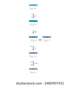 Diagramm, das die Biosynthese von Melatonin aus Tryptophan über enzymatische Reaktionen zeigt - schematische chemische Darstellung der molekularen Struktur.