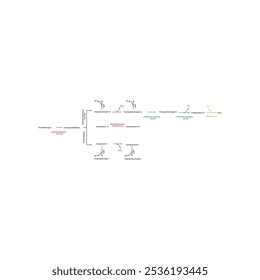 Diagrama que muestra la biosíntesis de derivados de porfirina de porfobilinógeno a través de reacciones enzimáticas. Ilustración esquemática científica farmacológica y bioquímica.