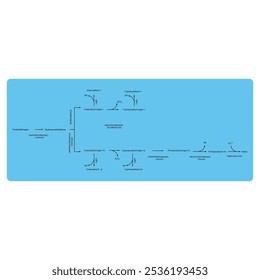 Diagrama que muestra la biosíntesis de derivados de porfirina de porfobilinógeno a través de reacciones enzimáticas. Ilustración esquemática científica farmacológica y bioquímica.