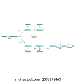 Diagrama que muestra la biosíntesis de derivados de porfirina de porfobilinógeno a través de reacciones enzimáticas. Ilustración esquemática científica farmacológica y bioquímica.