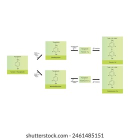 Diagramm zur Biosynthese von Schilddrüsenhormonen (T3, T4) aus Tyrosin durch enzymatische Reaktion - schematische molekulare Struktur chemische Darstellung.