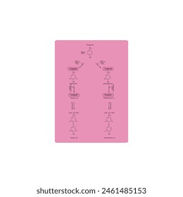 Diagramm zur Biosynthese von Schilddrüsenhormonen (T3, T4) aus Tyrosin durch enzymatische Reaktion - schematische molekulare Struktur chemische Darstellung.