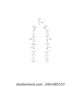 Diagramm zur Biosynthese von Schilddrüsenhormonen (T3, T4) aus Tyrosin durch enzymatische Reaktion - schematische molekulare Struktur chemische Darstellung.