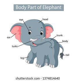 99 Elephant Body Parts Stock Vectors, Images & Vector Art | Shutterstock