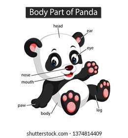 Diagram showing body part of panda