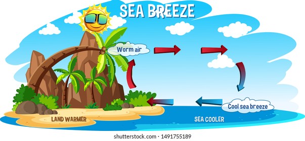 Diagram showing circulation of sea breeze illustration