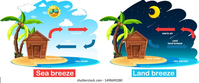 Diagram showing circulation of sea and land breeze illustration