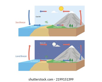 Diagram showing circulation of sea and land breeze illustration svg
