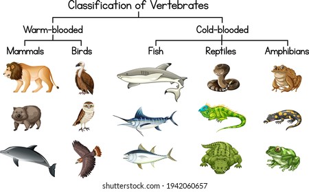 479,345 Vertebrate Images, Stock Photos & Vectors | Shutterstock